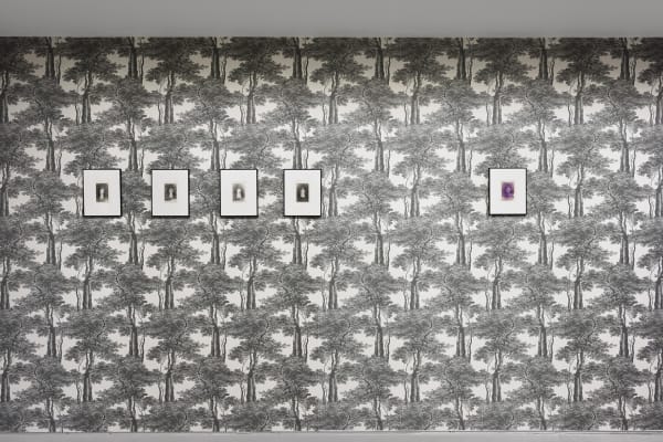 Marcel Bascoulard, Sélection 16.01 - 27.02.2021