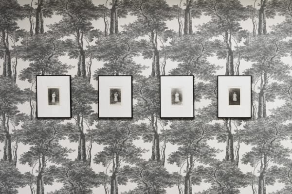 Marcel Bascoulard, Sélection 16.01 - 27.02.2021