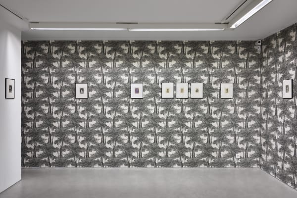 Marcel Bascoulard, Sélection 16.01 - 27.02.2021