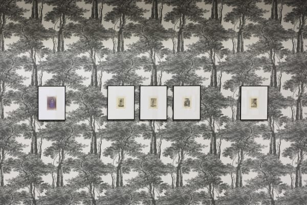 Marcel Bascoulard, Sélection 16.01 - 27.02.2021