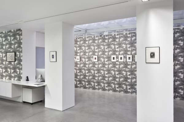 Marcel Bascoulard, Sélection 16.01 - 27.02.2021