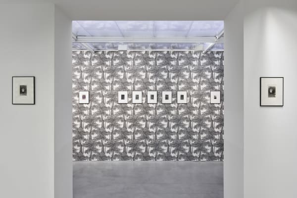 Marcel Bascoulard, Sélection 16.01 - 27.02.2021