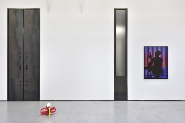 Exhibition view of Shadow Detail, by Hannah Whitaker.