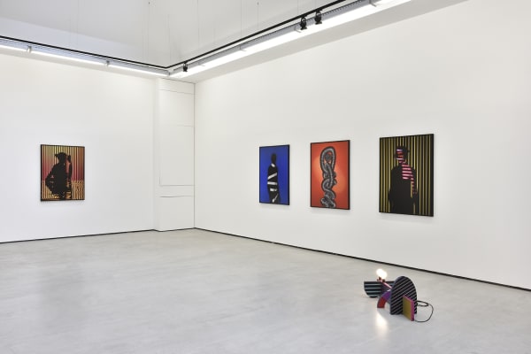 Exhibition view of Shadow Detail, by Hannah Whitaker.