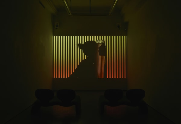 Exhibition view of Shadow Detail, by Hannah Whitaker.