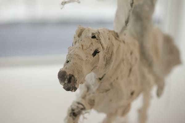 Exhibition view from the installation in the Frontspace "ROME" by Cate Giordano.