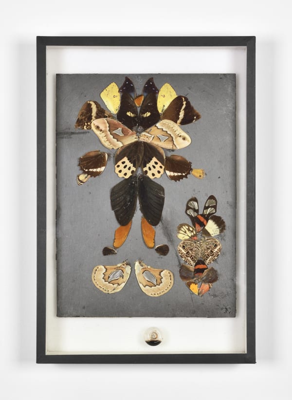Pierre Bettencourt Sans titre, Circa 1960 Ailes de papillons collées sur ardoise Butterfly wings glued on slate 29 x 21 cm 11 3/8 x 8 1/4 in ©Photo: Rebecca Fanuele