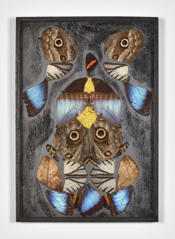 Pierre Bettencourt Sans titre, Circa 1961-1962 Ailes de papillons collées sur ardoise vernie par endroits, sous verre Butterfly wings glued on slate, varnished in places, under glass 33 x 23 cm 13 x 9 1/8 in ©Photo: Rebecca Fanuele