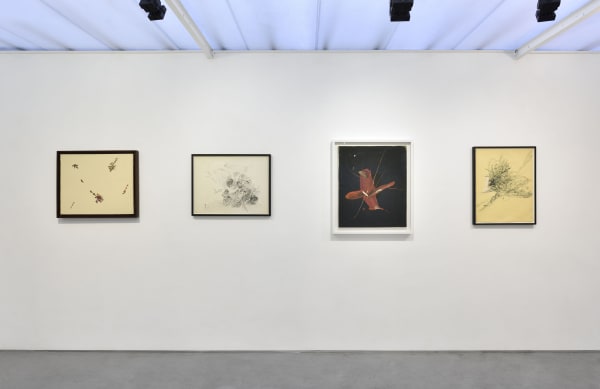 Vue de l'exposition "Bernard Réquichot, Les Requichot de Cordier" Photo © Rebecca Fanuele