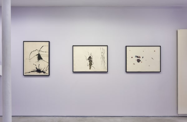 Vue de l'exposition "Bernard Réquichot, Les Requichot de Cordier" Photo © Rebecca Fanuele