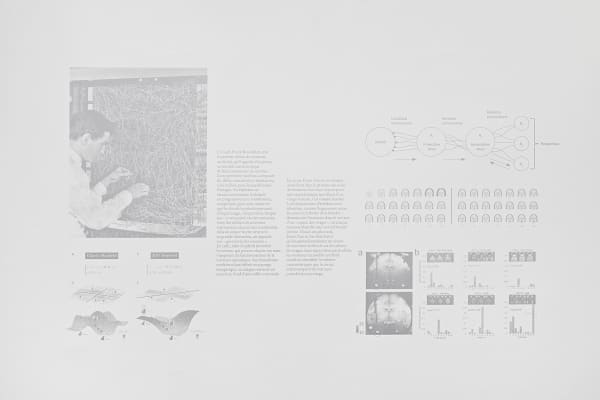 Les géométries de l'esprit, image latente, de Marina Gadonneix avec Victor Rambaud. Photo : Rebecca Fanuele.