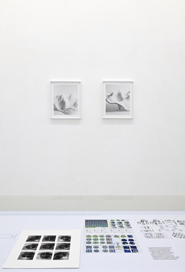 Les géométries de l'esprit, image latente, de Marina Gadonneix avec Victor Rambaud. Photo : Rebecca Fanuele.