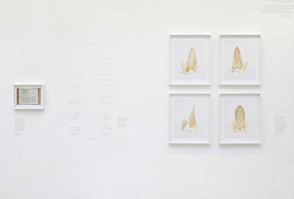 Les géométries de l'esprit, image latente, de Marina Gadonneix avec Victor Rambaud. Photo : Rebecca Fanuele.