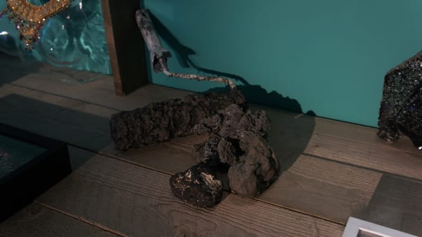 Véronique Boudier Mimétisme du mimosa 09.06 - 30.06.2011