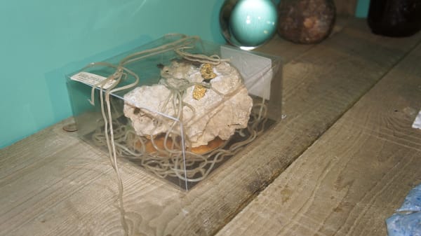 Véronique Boudier Mimétisme du mimosa 09.06 - 30.06.2011