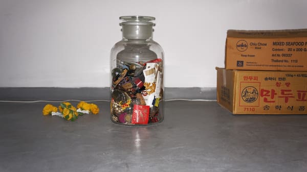 Véronique Boudier Mimétisme du mimosa 09.06 - 30.06.2011