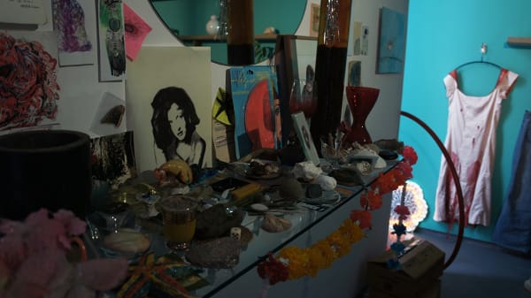 Véronique Boudier Mimétisme du mimosa 09.06 - 30.06.2011