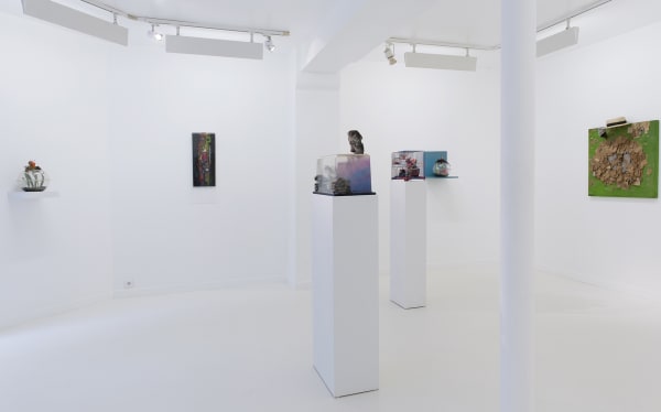 Tetsumi Kudo Human Cultivation 05.10 - 09.11.2013