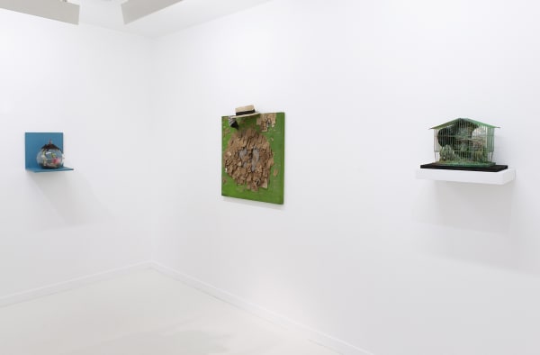 Tetsumi Kudo Human Cultivation 05.10 - 09.11.2013