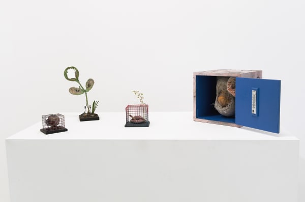 Tetsumi Kudo Human Cultivation 05.10 - 09.11.2013