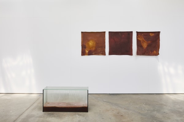 Bientôt / Soon : Claude Viallat : Unravelled