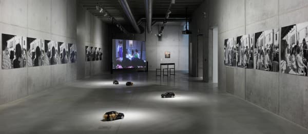 Katarzyna Kozyra at PLATO "They Thought We Were Alive and They Run Screaming"