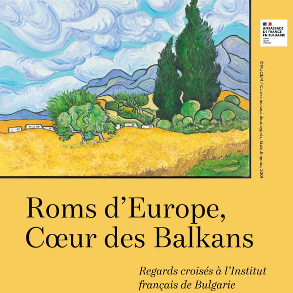 Ceija Stojka : Conferences and Roundtables