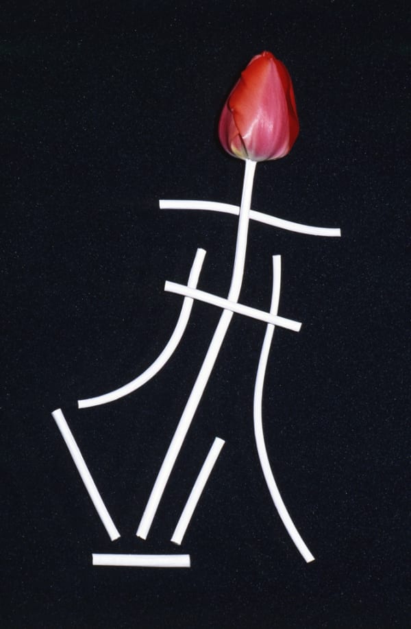 Unglee, « Tulipe », série Éludienne, Paris - 30 avril 1992 - juillet 1992