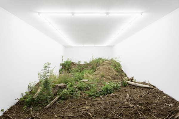 Isolation (Waldstück)_FabianKnecht_2022 © Courtesy of the artist