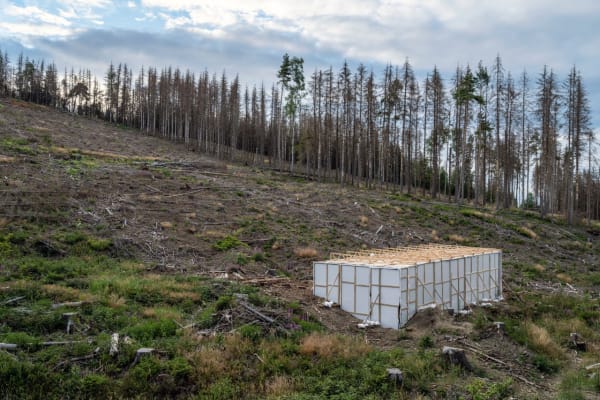 Making of "Isolation (Waldstück)"_FabianKnecht_2022 © Courtesy of the artist