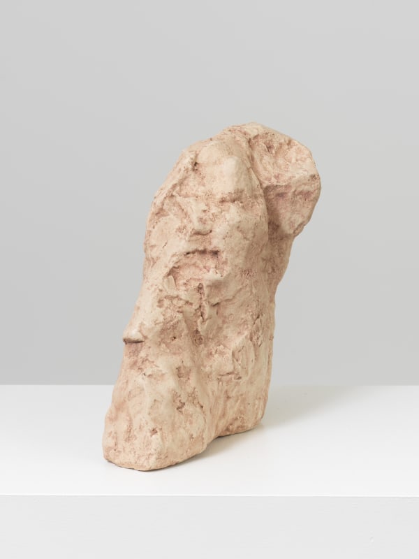 William Tucker, Mask for Pierre, 2022, Resin, 34.9 x 27.9 x 10.2 cm All images : © William Tucker, Courtesy LGDR
