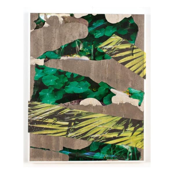 Letha Wilson Hawaii Nevada Flora Concrete Bend, 2020 Unique C-print, concrete, UV print, aluminum frame 18.25 x 14.25 x 1.25 in