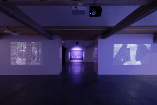 Hélène Delprat Twist & Die, Vue de l’exposition, Galerie Haute, Photo Aurélien Mole