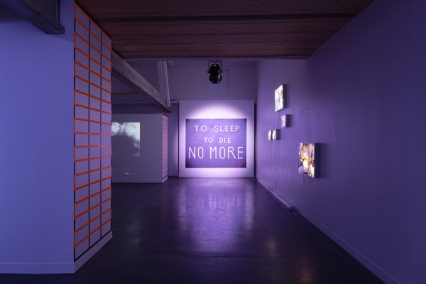 Hélène Delprat Twist & Die, Vue de l’exposition, Galerie Haute, Photo Aurélien Mole