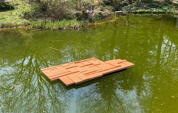 Selina Baumann - Biennale Weiertal