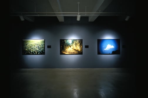 Alfredo Jaar Field, Road, Cloud, 1997 Three color Cibachrome prints, three black and white Cibachrome prints 40 x 275 inches (101.6 x 698.5 cm) overall
