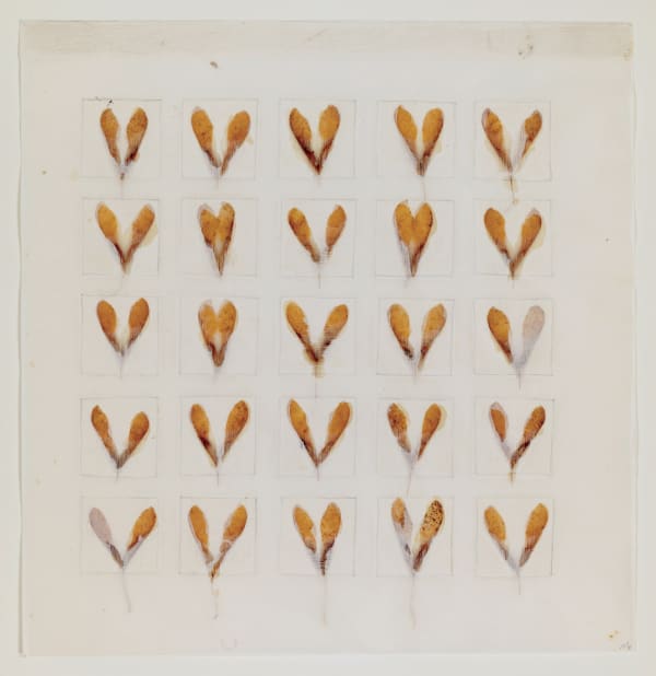 Michelle Stuart Seed Calendar: Samara, 1993 Maple seeds from Amagansett, NY on Chinese paper 16 x 15 1/2 in (40.6 x 39.4 cm) Framed: 18 1/8 x 17 1/2 x 1 in (46 x 44.5 x 2.5 cm) (GL12664)
