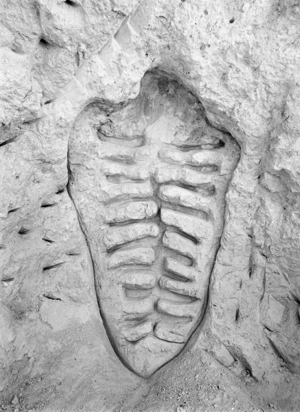 Ana Mendieta Itiba Cahubaba (Esculturas Rupestres) [Old Mother Blood (Rupestrian Sculptures)], 1981/2019 Black and white photograph 55 x 40 inches (139.7 x 101.6 cm) Framed: 56.25 x 41.25 x 2 inches (142.9 x 104.8 x 5.1 cm) Edition of 3 with 2 AP