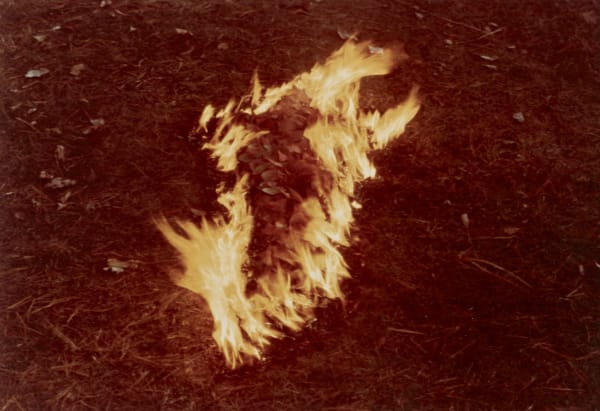 Ana Mendieta Hojas Rojas Silueta (Quemada alrededor), 1977 Lifetime color photograph 8 x 10 inches (20.3 x 25.4 cm)