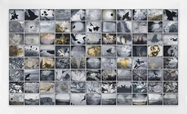 Frieze Viewing Room - Michelle Stuart