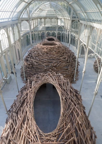 Andy Goldsworthy: Inside the entrails of the tree, Museo Nacional Centro de Arte Reina Sofía, Madrid, Spain