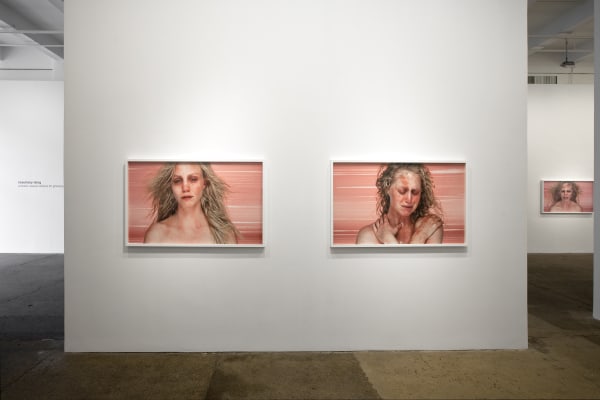 Rosemary Laing: a dozen useless actions for grieving blondes