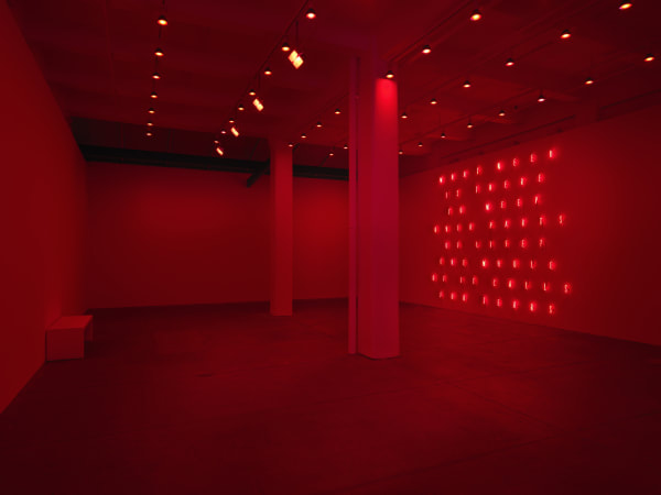 Alfredo Jaar: THE TEMPTATION TO EXIST