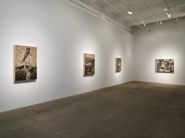 Jane Hammond: Light Now: Dazzle Paintings and Photographs