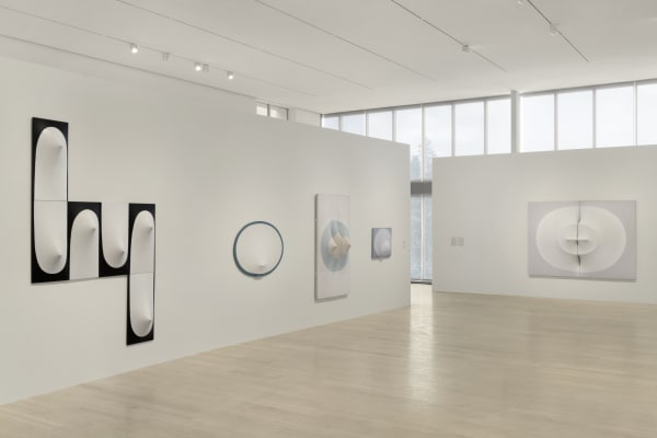 Zilia Sánchez: Topologías / Topologies