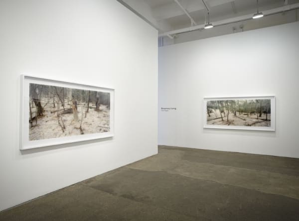 Rosemary Laing: The Paper