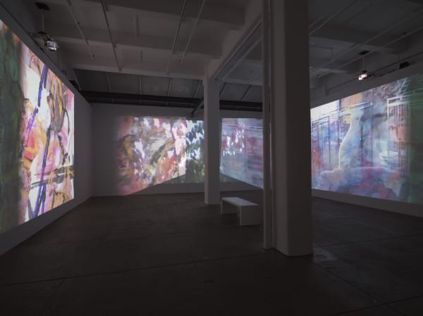 Carolee Schneemann Further Evidence - Exhibit B