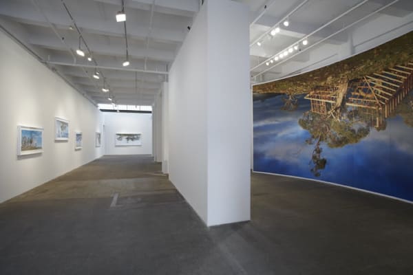 Rosemary Laing: leak