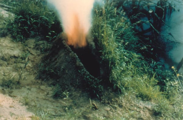 Ana Mendieta