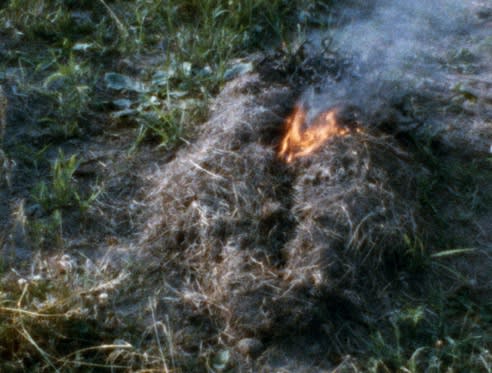 Ana Mendieta